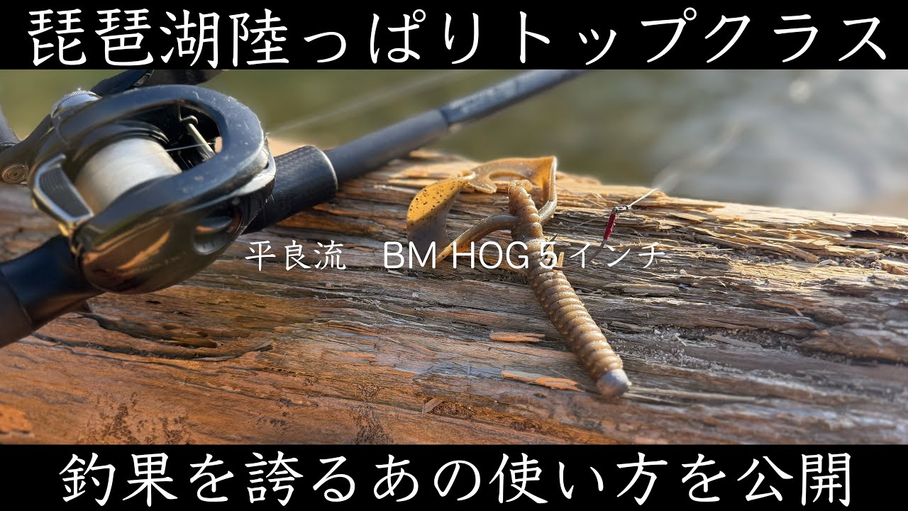 【緊急公開】琵琶湖陸っぱりトップクラスの釣果を誇る漢が20年煮詰めたリグを遂に公開します！！