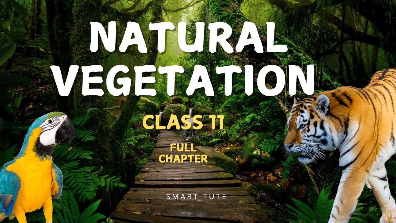 Natural Vegetation - Full Chapter Explanation | Class 11 Geography | NCERT | CBSE