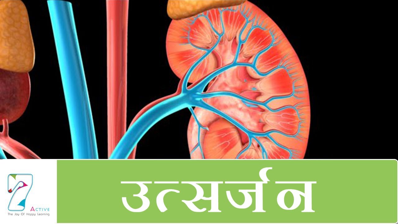 उत्सर्जन | Excretion | Hindi
