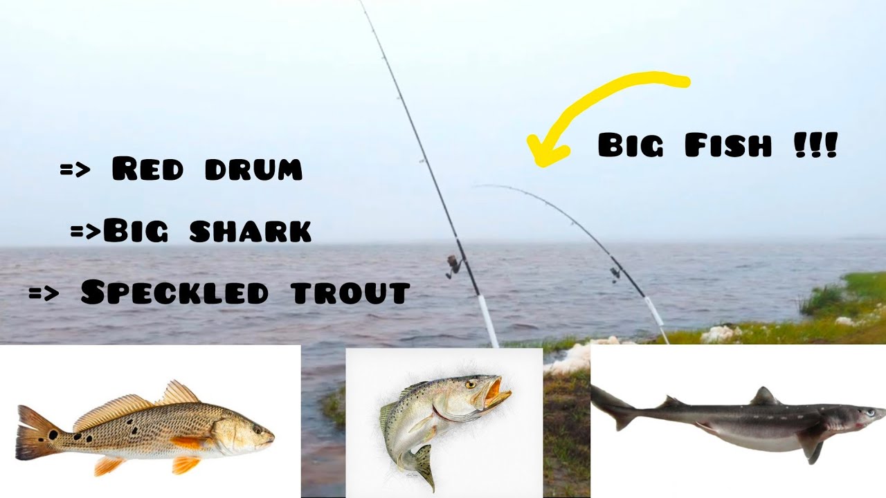All The Biggest Catches Of 2023  !!!  Biggest Catches Compilation Cape Hatteras OuterBanks!!!