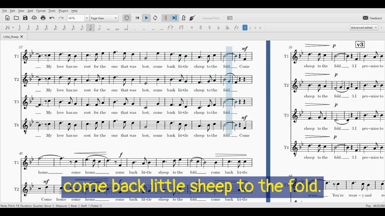 Little Sheep