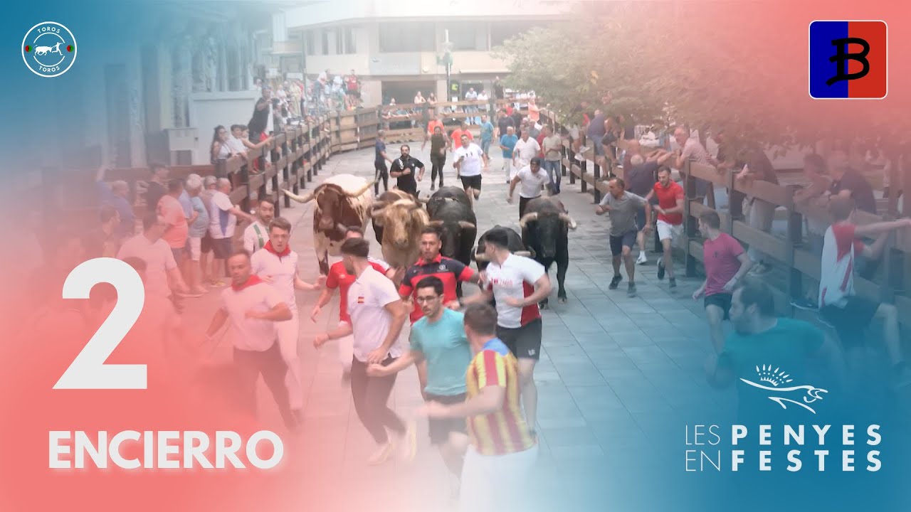 SEGUNDO ENCIERRO de Les Penyes En Festes de Vall d'uixo 2025 | Toros de Benavent