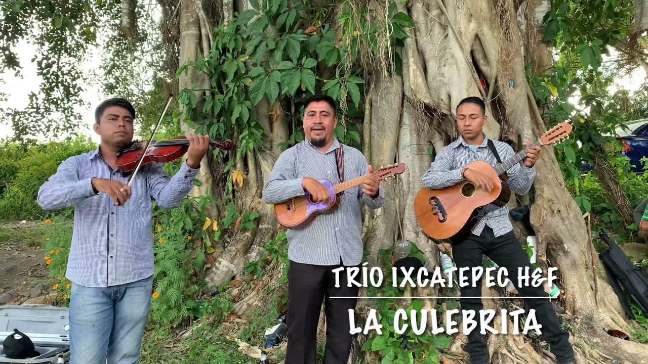 La culebrita / Trío Ixcatepec