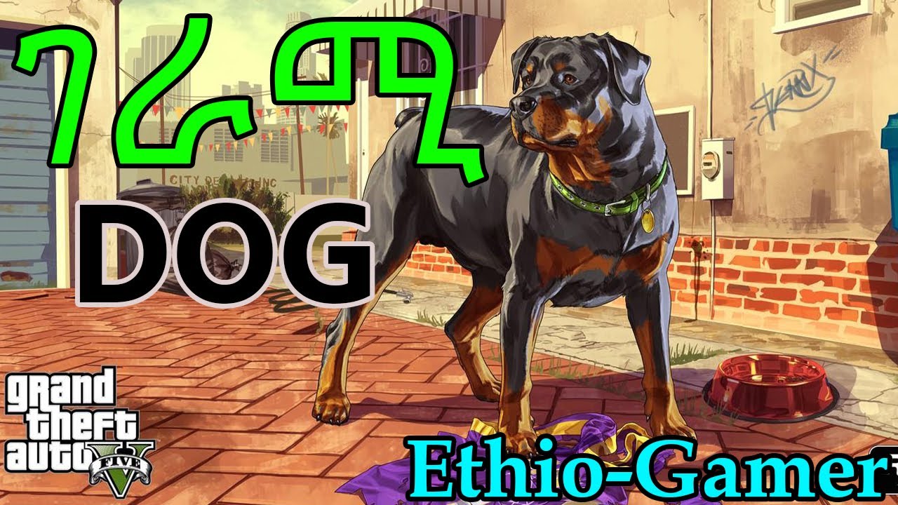 Grand Theft Auto V | what a DOG | Abyssinia Ethio-Gamer