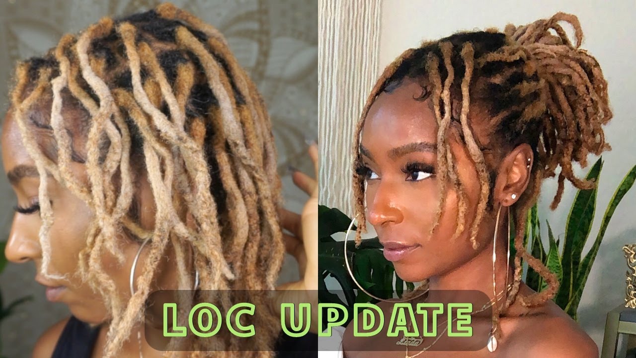 1 year & 8 month Loc Journey Update| My Fine Hair Locs | iamLindaElaine