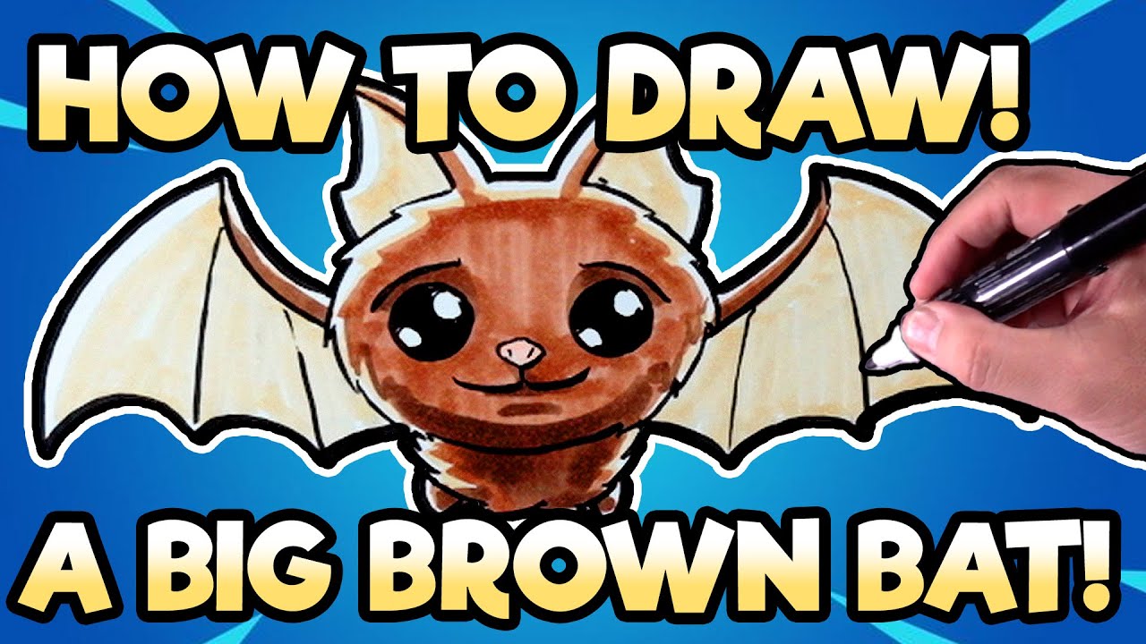 How to Draw a Big Brown Bat | Time to Draw