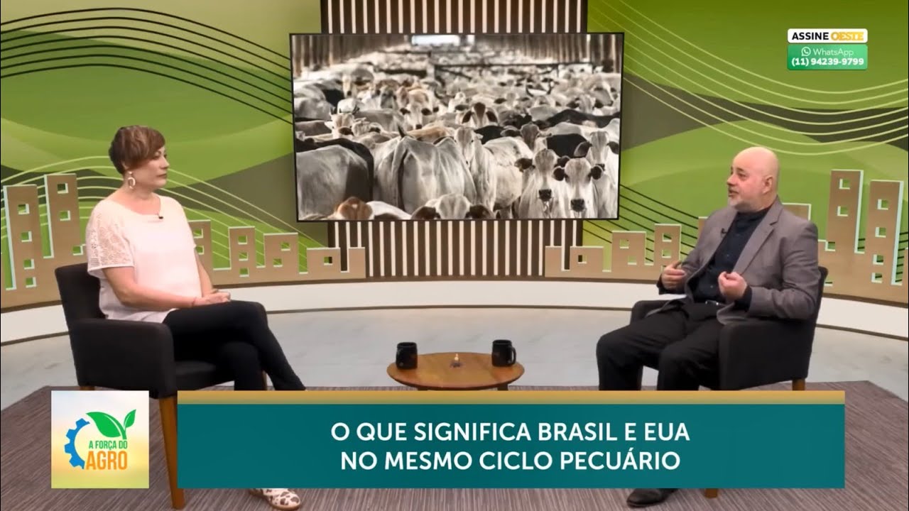 Por que Brasil e EUA estão no mesmo ciclo pecuário?