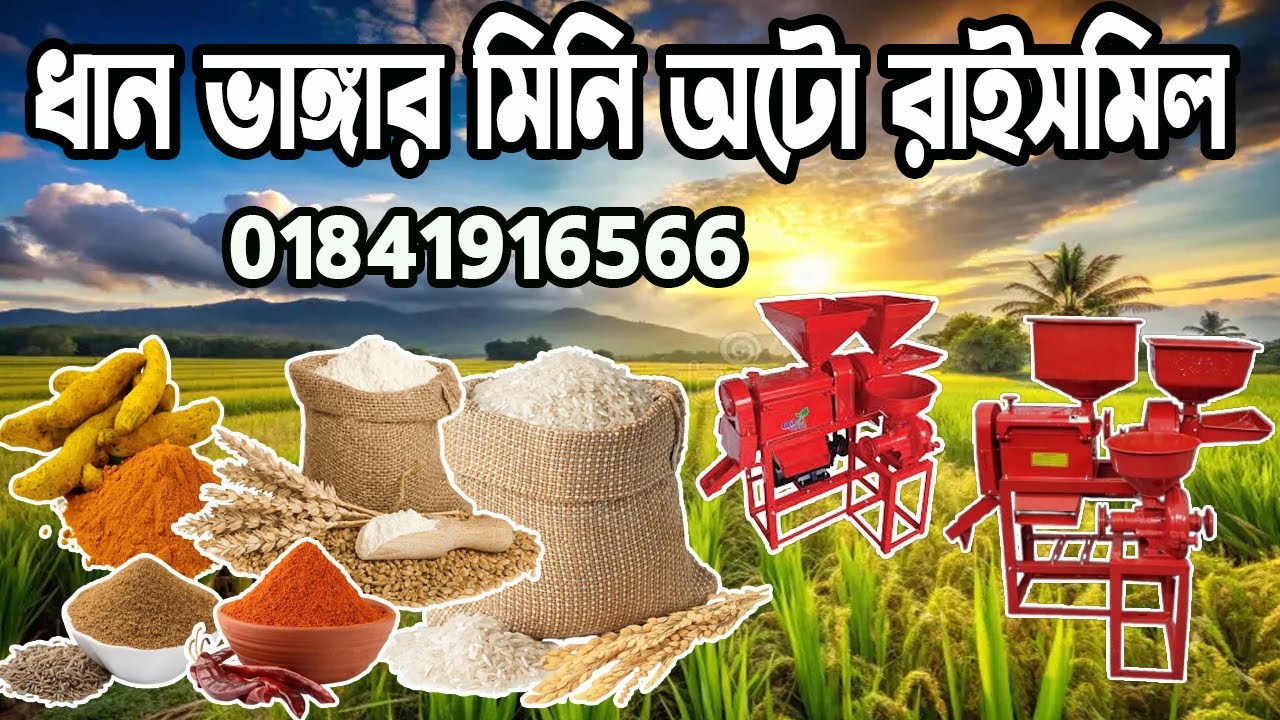 mini auto ricemill machine । অরজিনাল তিন মাথার মিনি রাইস মিল । তিন ফাংশনের রাইস মিল ।