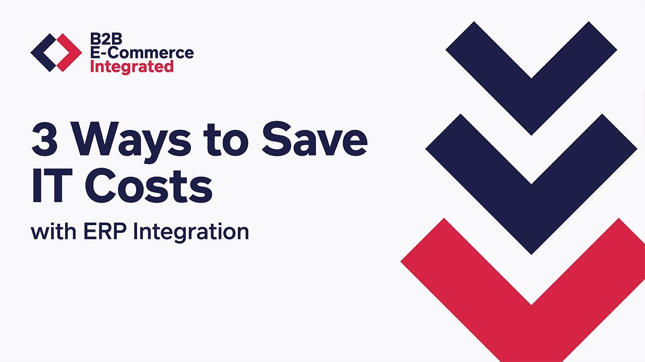 3 Ways to Save IT Costs with ERP Integration | B2B E-Commerce Integrated E8