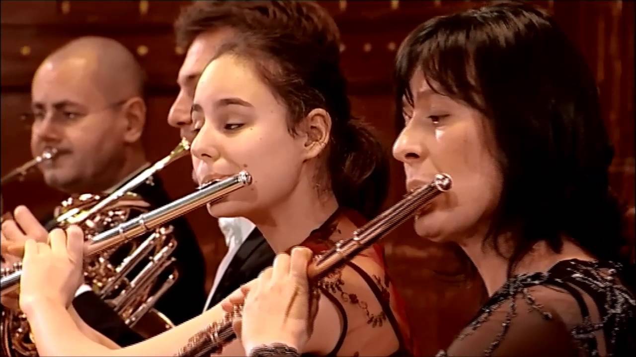 Concert with the Budapest Symphony Orchestra
