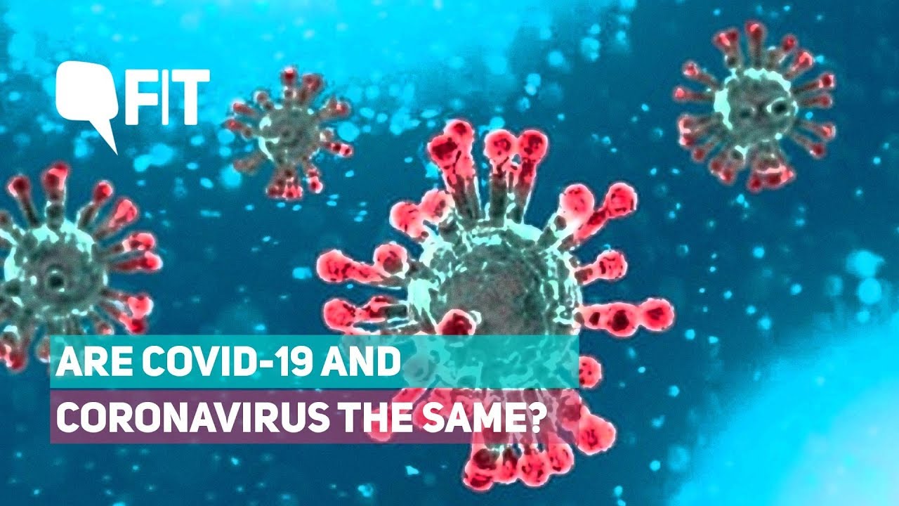 What is the Difference Between COVID-19 and Coronavirus? | The Quint