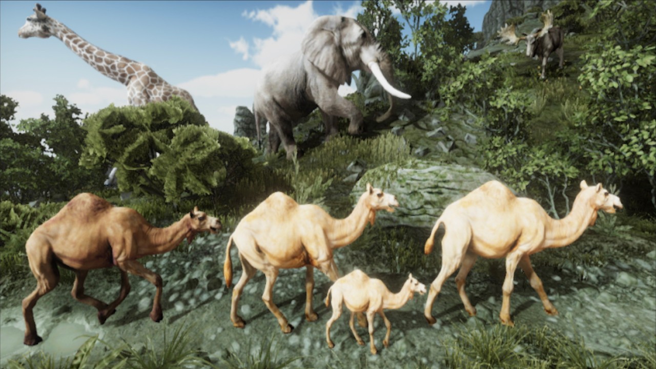 The Camel Animal Simulator ByYusibo Simulator Games #animalsimulator #3