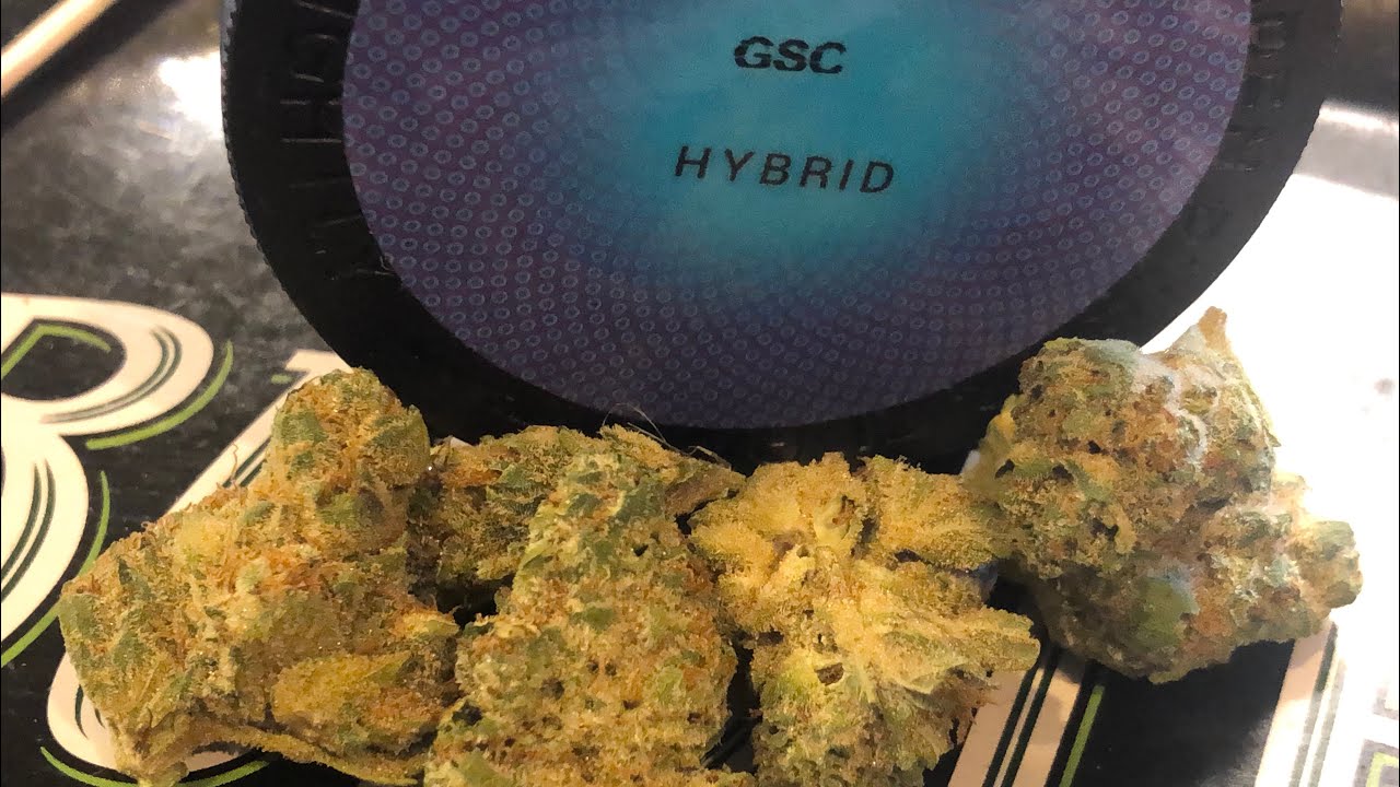 GSC strain Review~PA Medical
