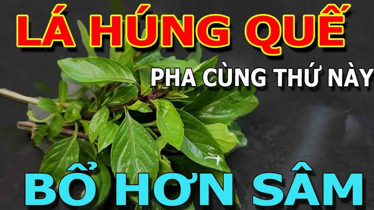 Cảnh báo: Người Đến Tuổi 50 CỨ UỐNG 3 LÁ HÚNG QUẾ cùng với THỨ NÀY chữa cả tỷ bệnhGAN THẬN SẠCH KHỎE