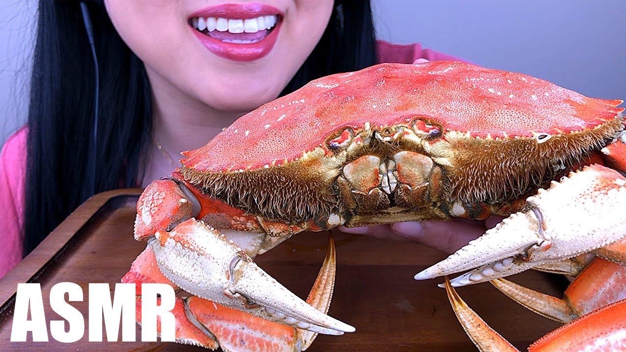 CRAB ASMR *Satisfying Cracking Noises* | ASMR Phan
