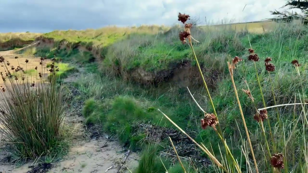 A circular walk from Padstow.