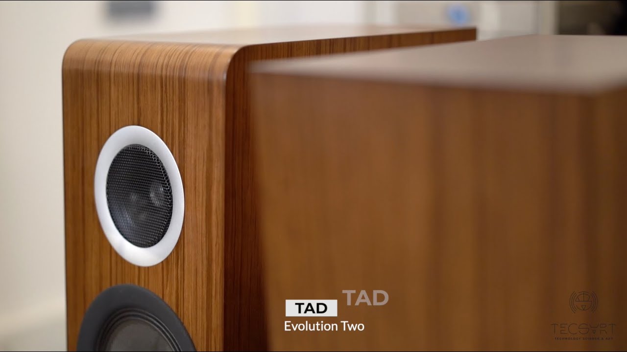 L’enceinte idéale pour toutes les électroniques - TAD Evolution Two par Tecsart #audio #sound #hifi