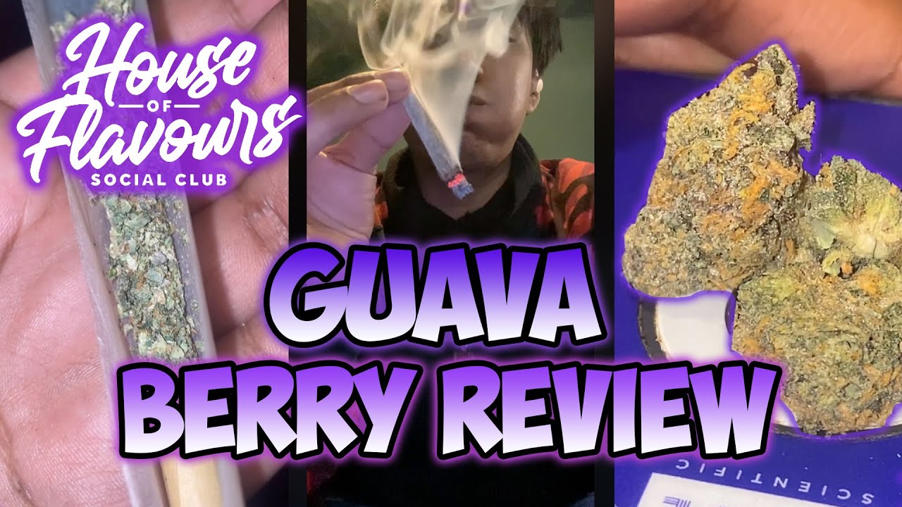 Guava Berry (ES) HOF Review!! #125