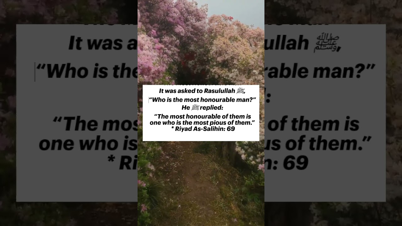 Hadith on the pious believers | Islamic video | Prophet  ﷺ said the best amoung us is the pious one