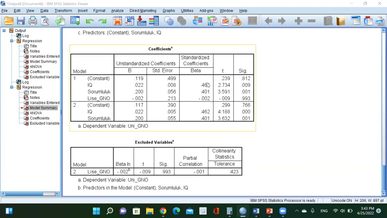 SPSS'te Coklu Regresyon: Video 2