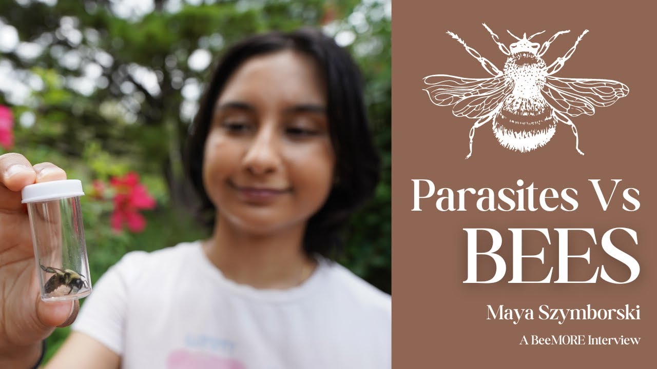 Maya Szymborski | Parasites VS Bees | BeeMORE | Summer 2024
