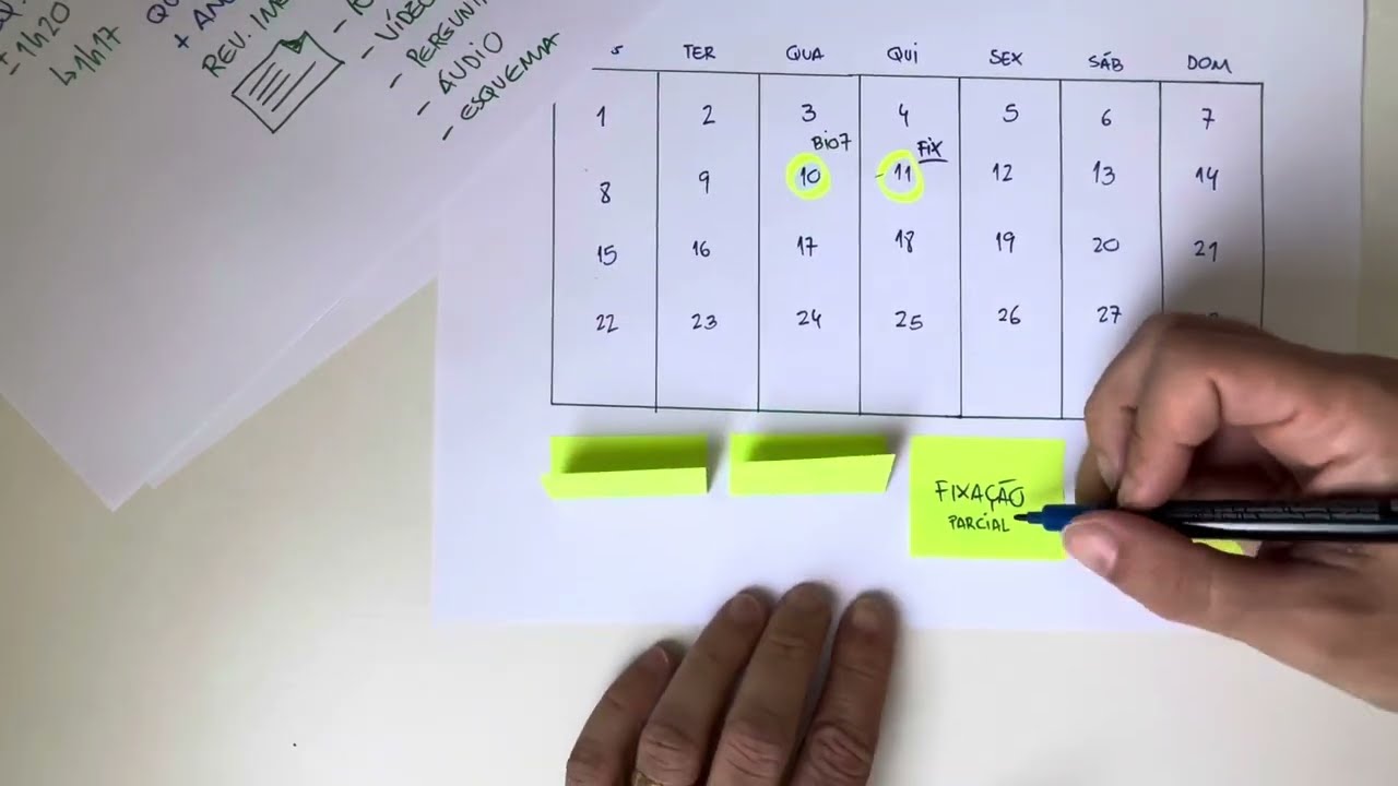REVISÕES: Aprenda 4 estratégias básicas para não esquecer o que você estudou