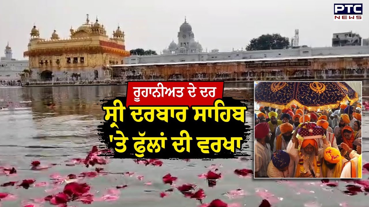 ਰੂਹਾਨੀਅਤ ਦੇ ਦਰ Sri Darbar Sahib 'ਤੇ ਕੀਤੀ ਜਾ ਰਹੀ ਗੁਲਾਬ ਦੇ ਫੁੱਲਾਂ ਦੀ ਵਰਖਾ | Punjab News | Sikhism