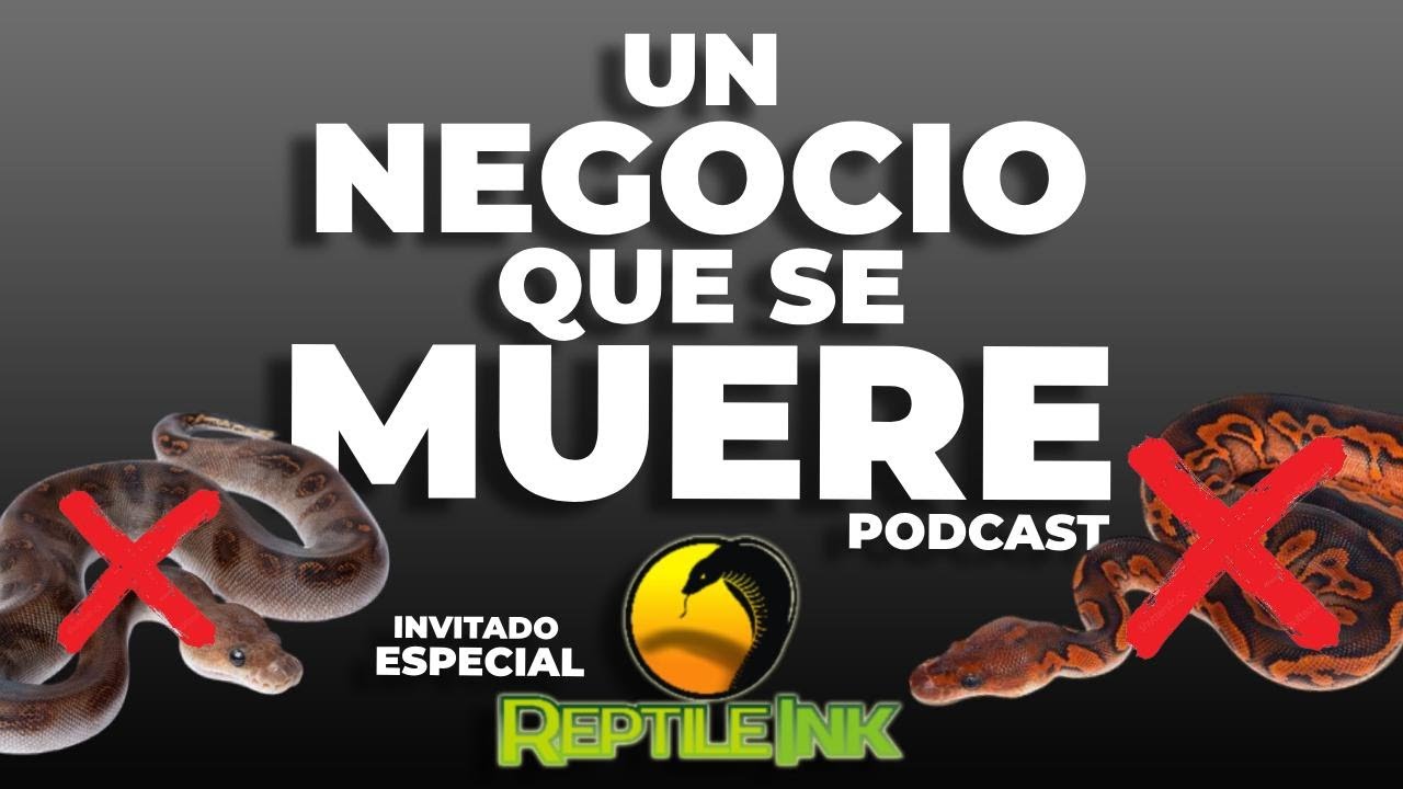 PODCAST #11 | La situación actual del hobby de animales exóticos en México 🇲🇽