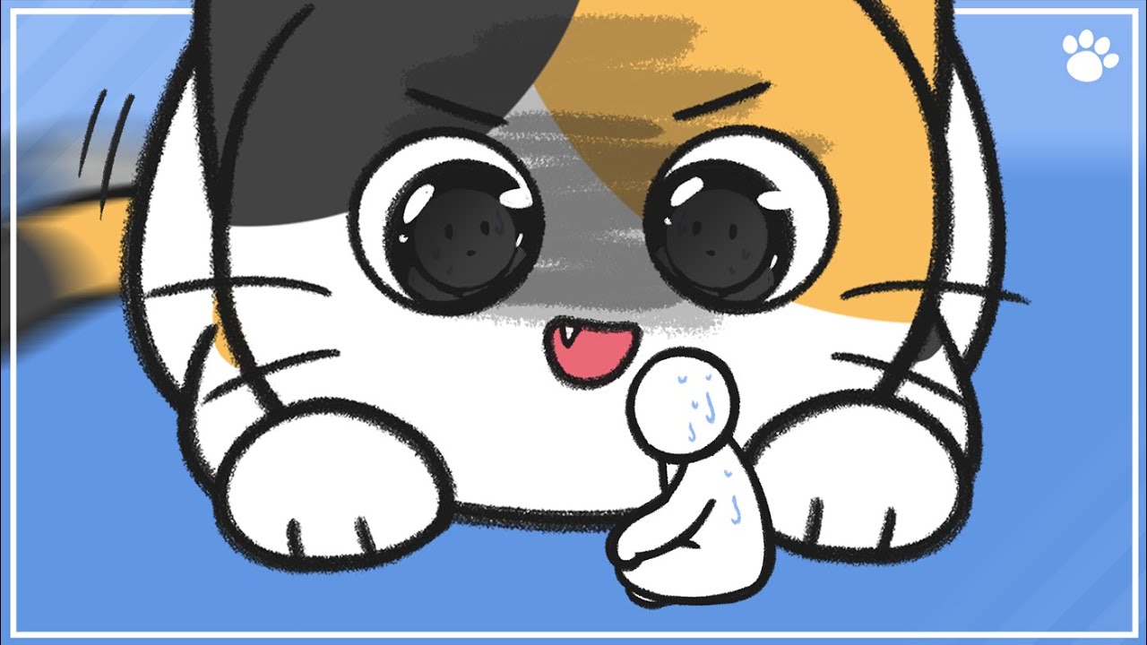 5 Reasons Your Cat Bites You | BEMYPET's Tips