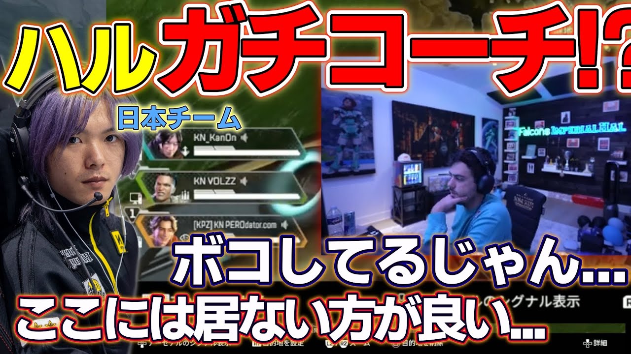 【ALGS】ハル史上初！？日本チームを ”ガチ” コーチング！ 【apex翻訳/imperialhal/falcons/kinotrope】