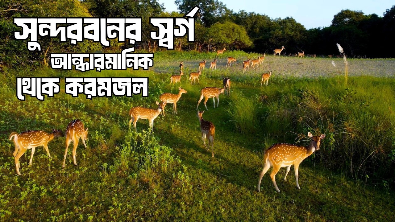 সুন্দরবনের স্বর্গ আন্ধারমানিক থেকে করমজল | ভ্রমণ বাংলাদেশ | Ep 12 | Boishakhi Travel