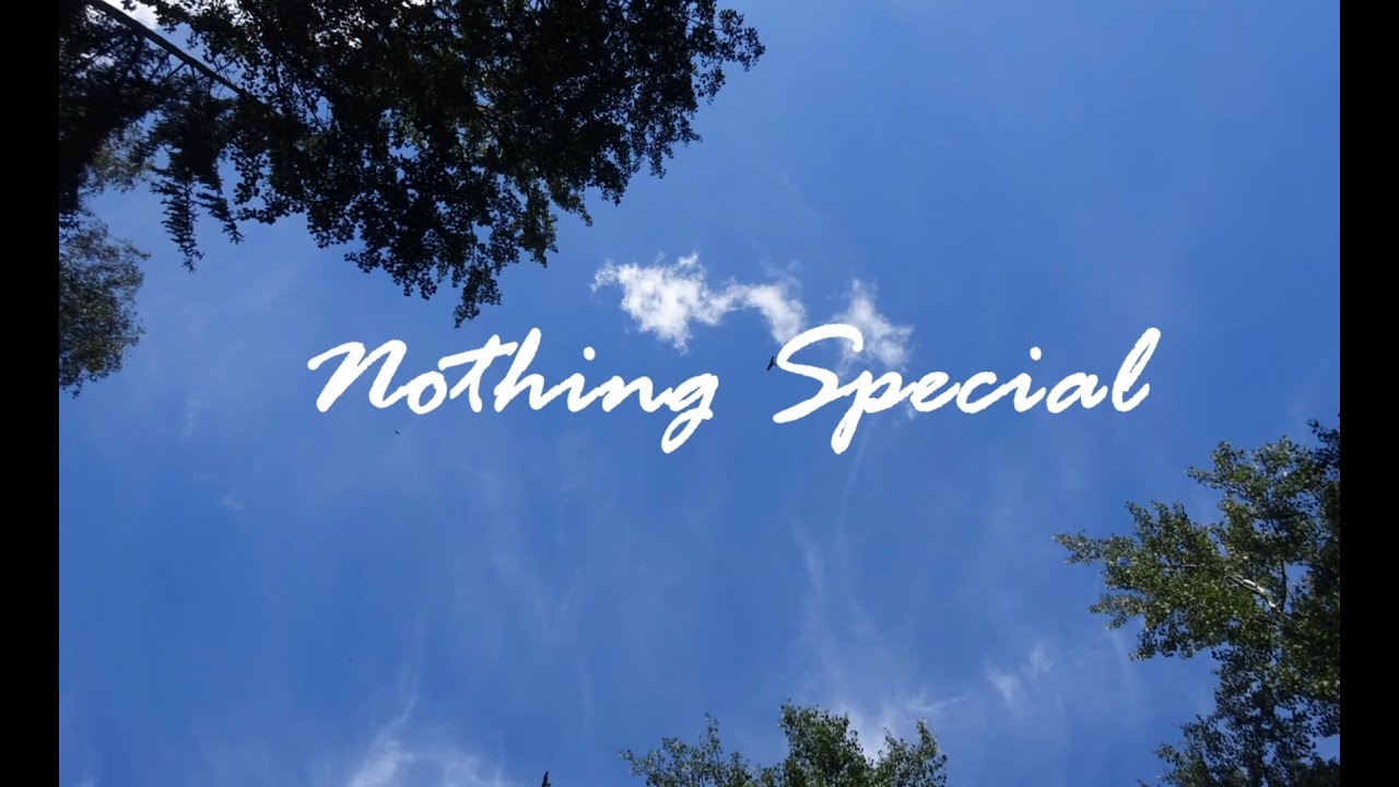 Slfm ~ Nothing Special (Official Lyric Video)