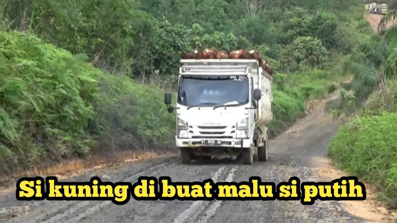 Canter HDX di buat malu oleh ISUZU 6 SPEED