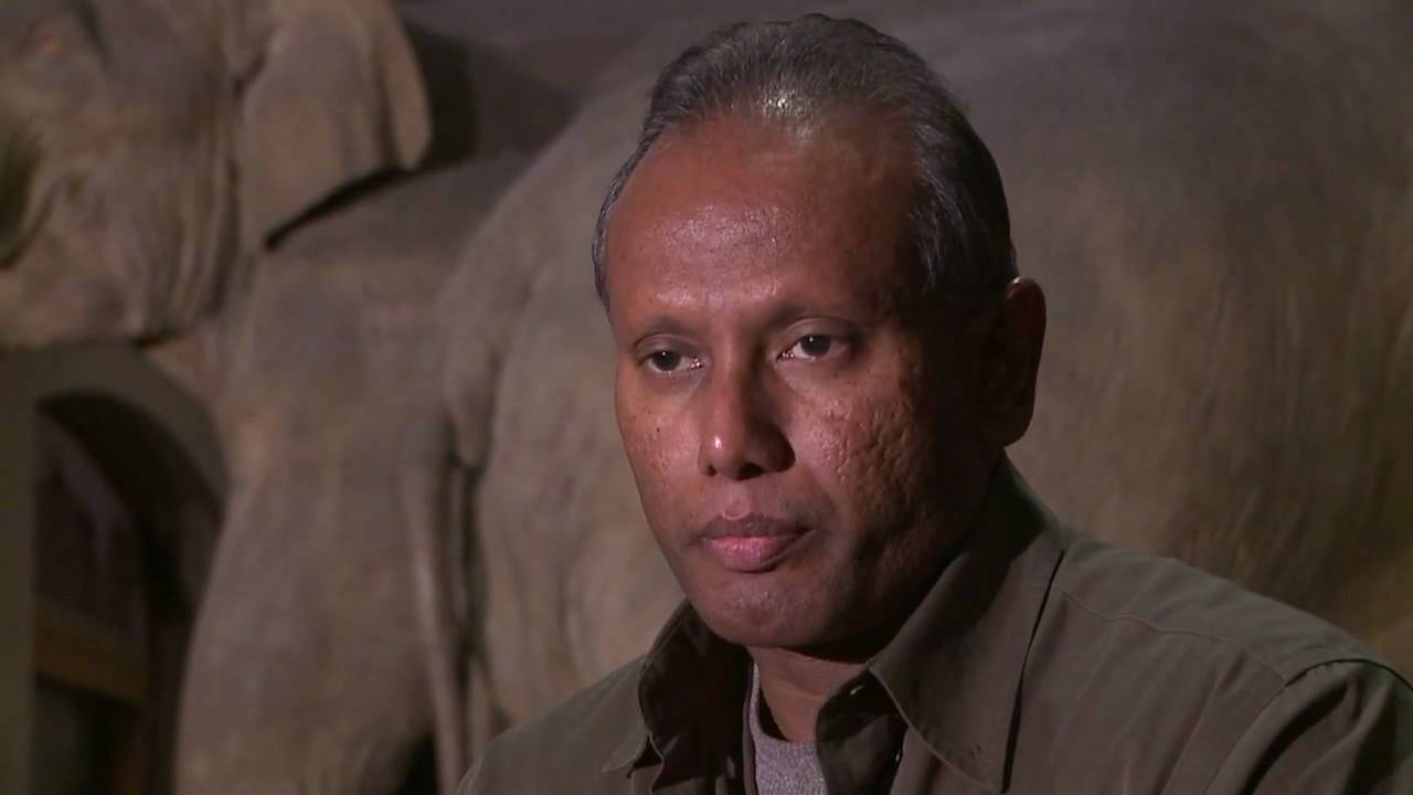 Human elephant conflict in Sri Lanka