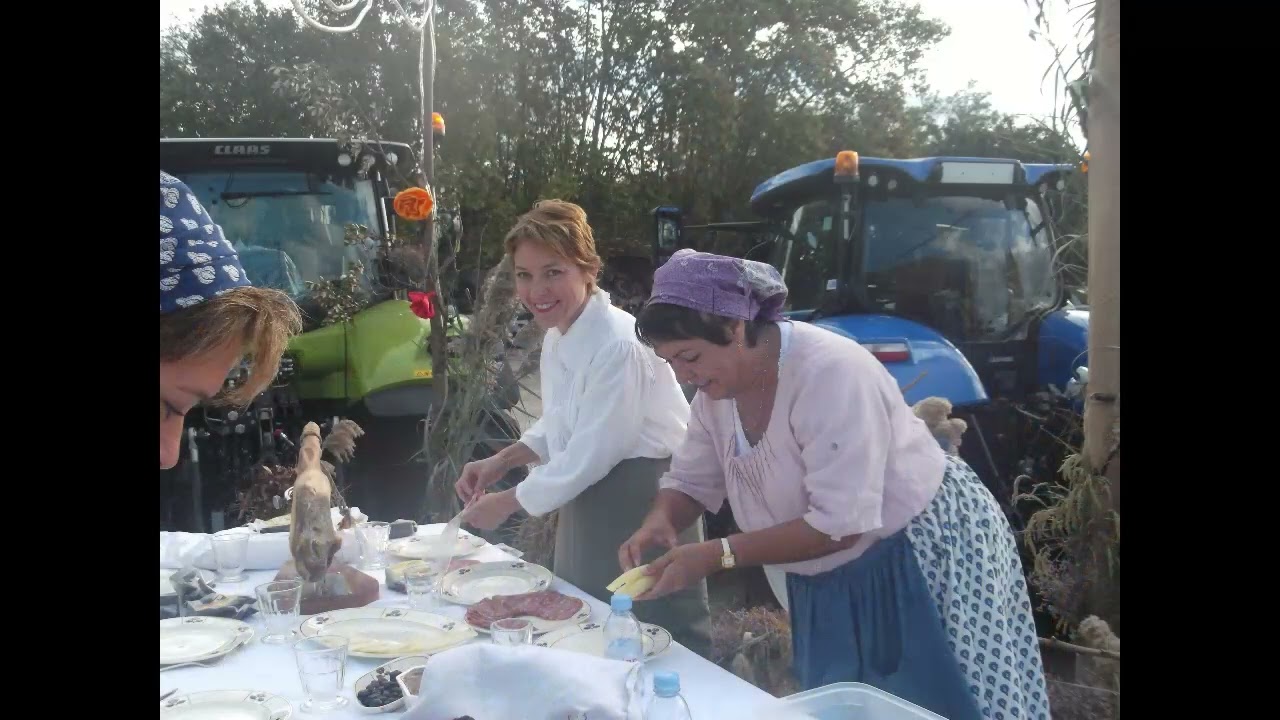 LA RICHESSE des ALPILLES