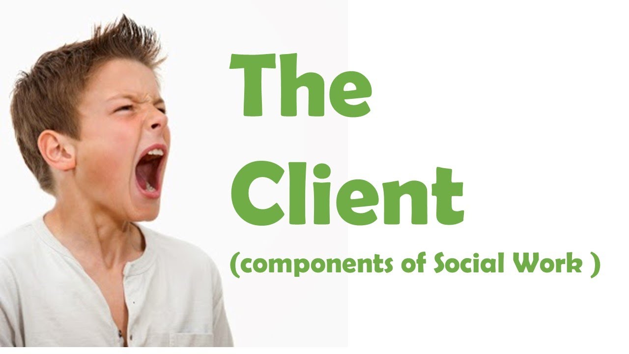 The Client [ Social Work Components ]