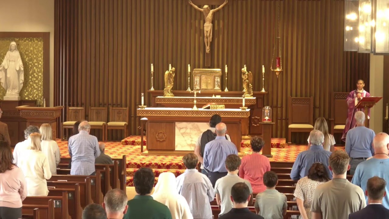 Daily Mass
