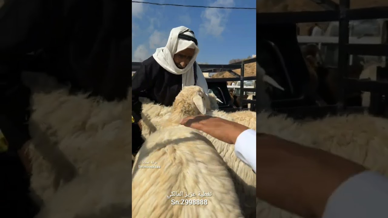 تغطية سوق الجمعة بمركز حداد بني مالك ليوم الجمعة ٦ رجب ١٤٤٧هـ الموافق ٢٦ ديسمبر ٢٠٢٥م