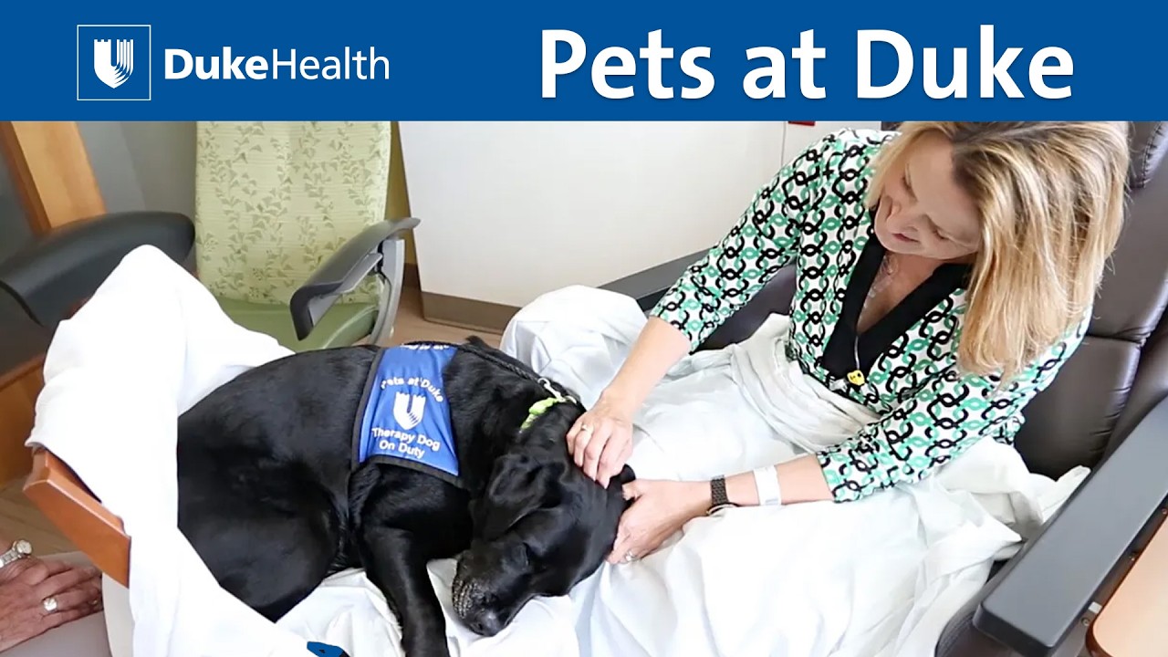 Therapy dogs lift patients' spirits | Duke Health