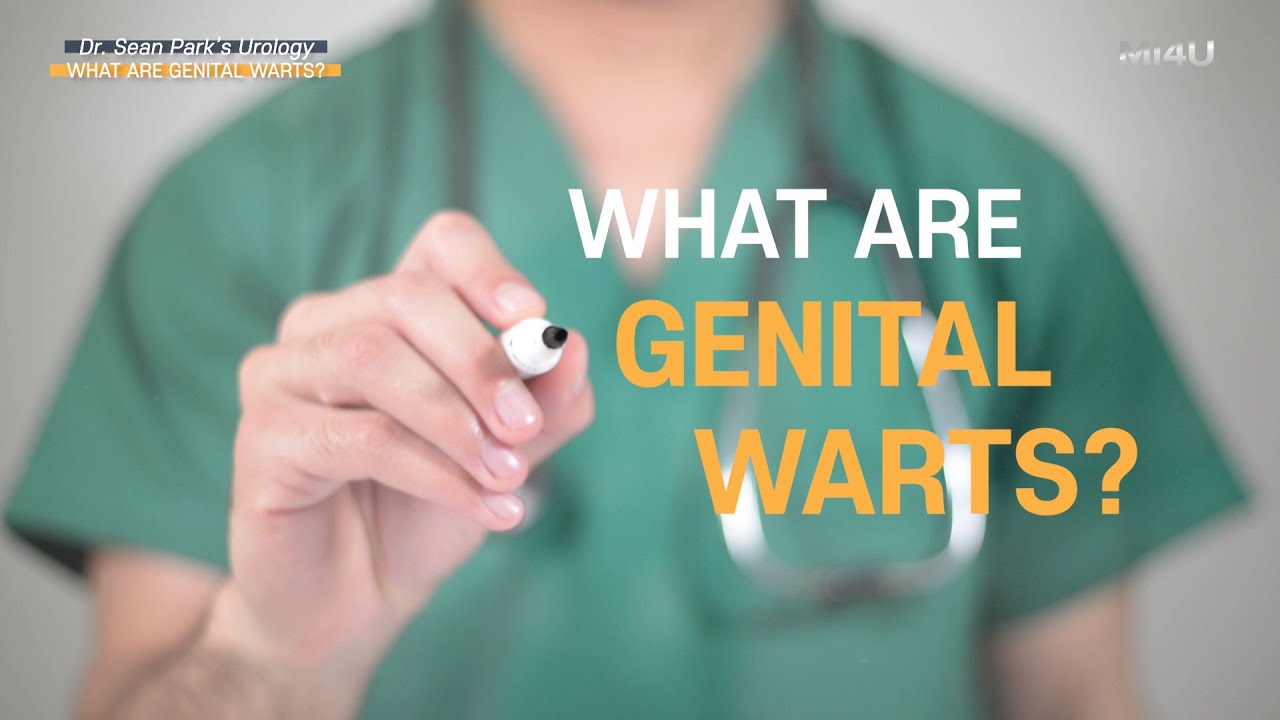 [Genital Warts] Genital Warts, What are They?_STD Testing_Urology in Seoul