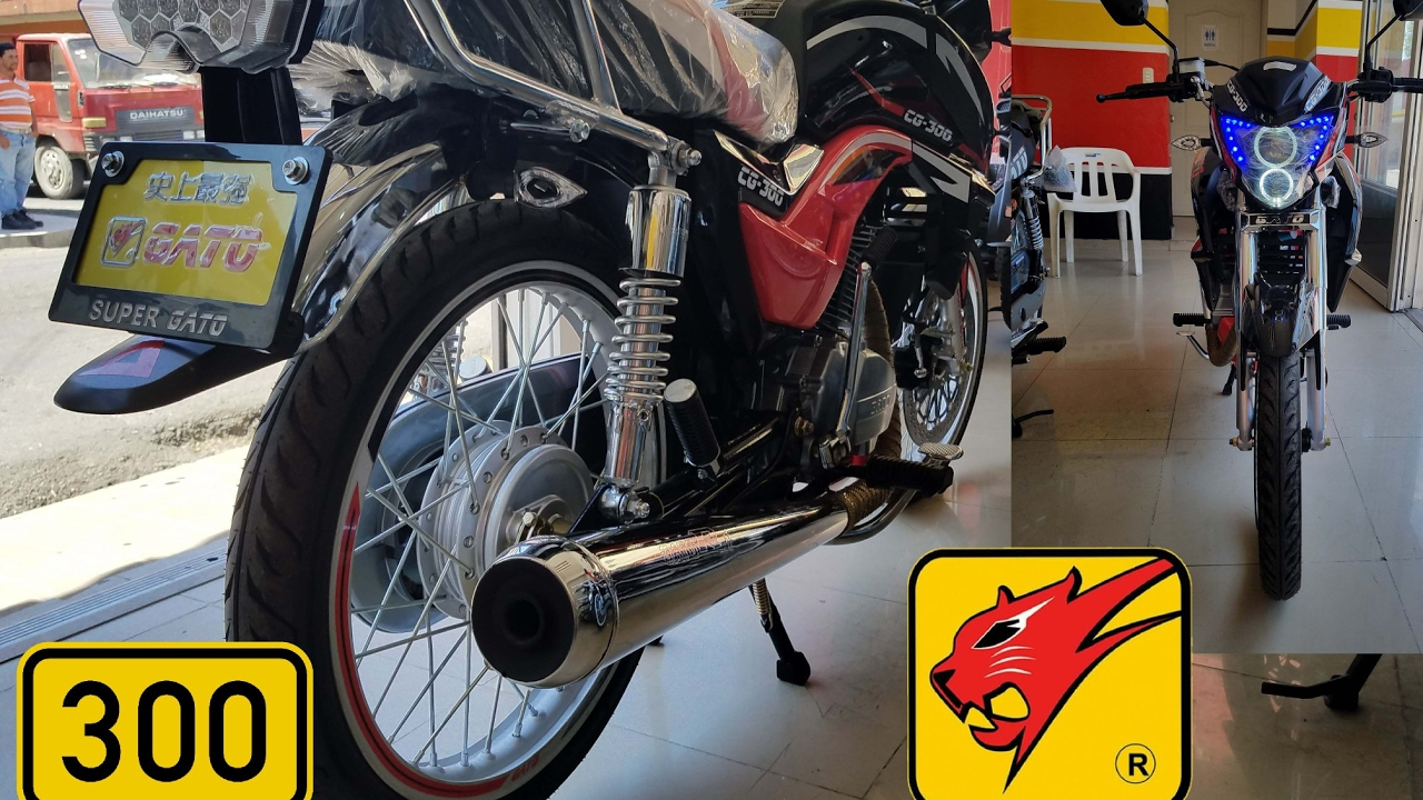 NUEVO GATO CG 300 2017 R ACELERACION Y PRESENTACION (HD).