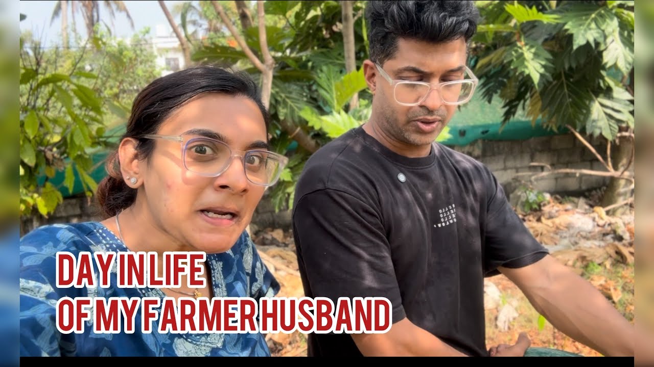 husbands day in life #akkanreels #akkanvlogs #airlayering #farming #malayalamvlog #mango #jackfruit