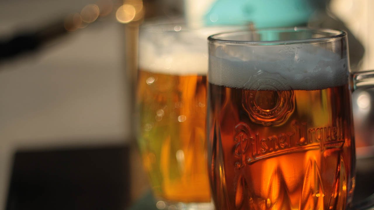 Chemistry of Beer - Appendix - Techniques and Quality