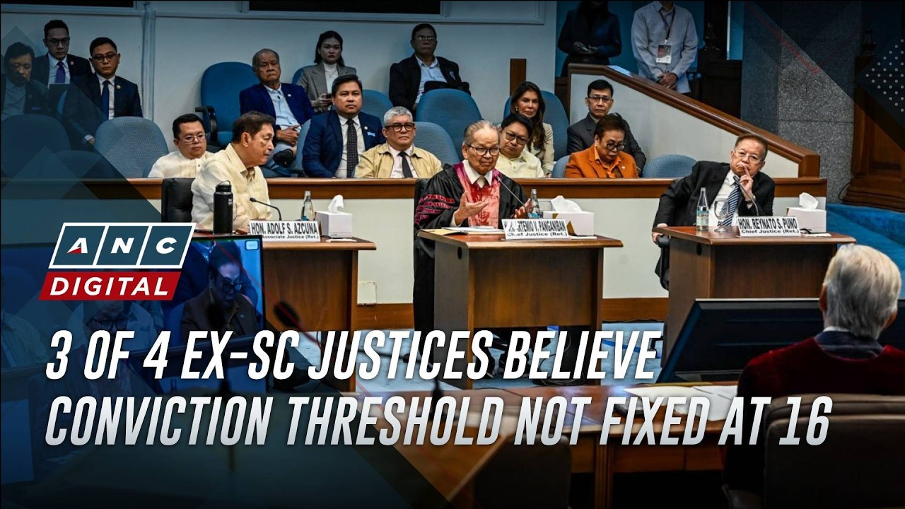 RECAP: What amici curiae advised senator-judges on voting threshold | ANC