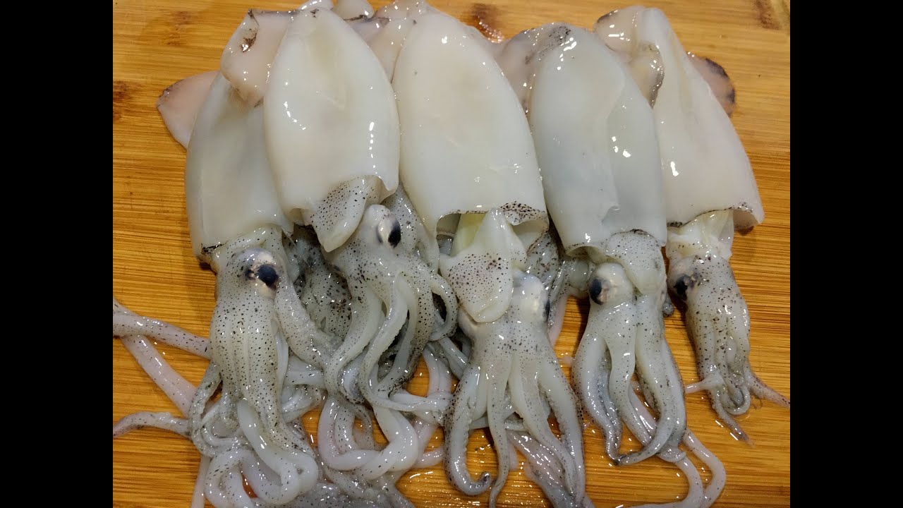 CÓMO LIMPIAR CALAMAR🦑🦑