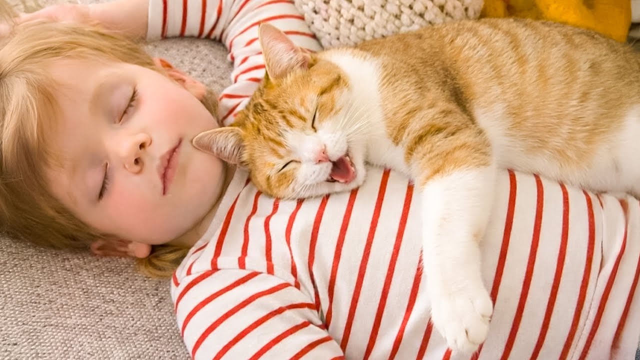 Cats Protecting Babies Like Their Own Kittens 😘😸 Part 12