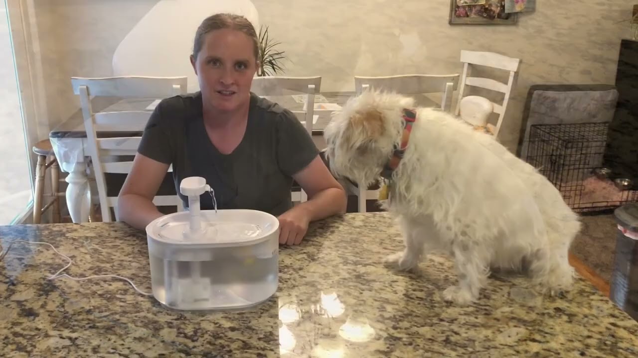 Pet Water Fountain