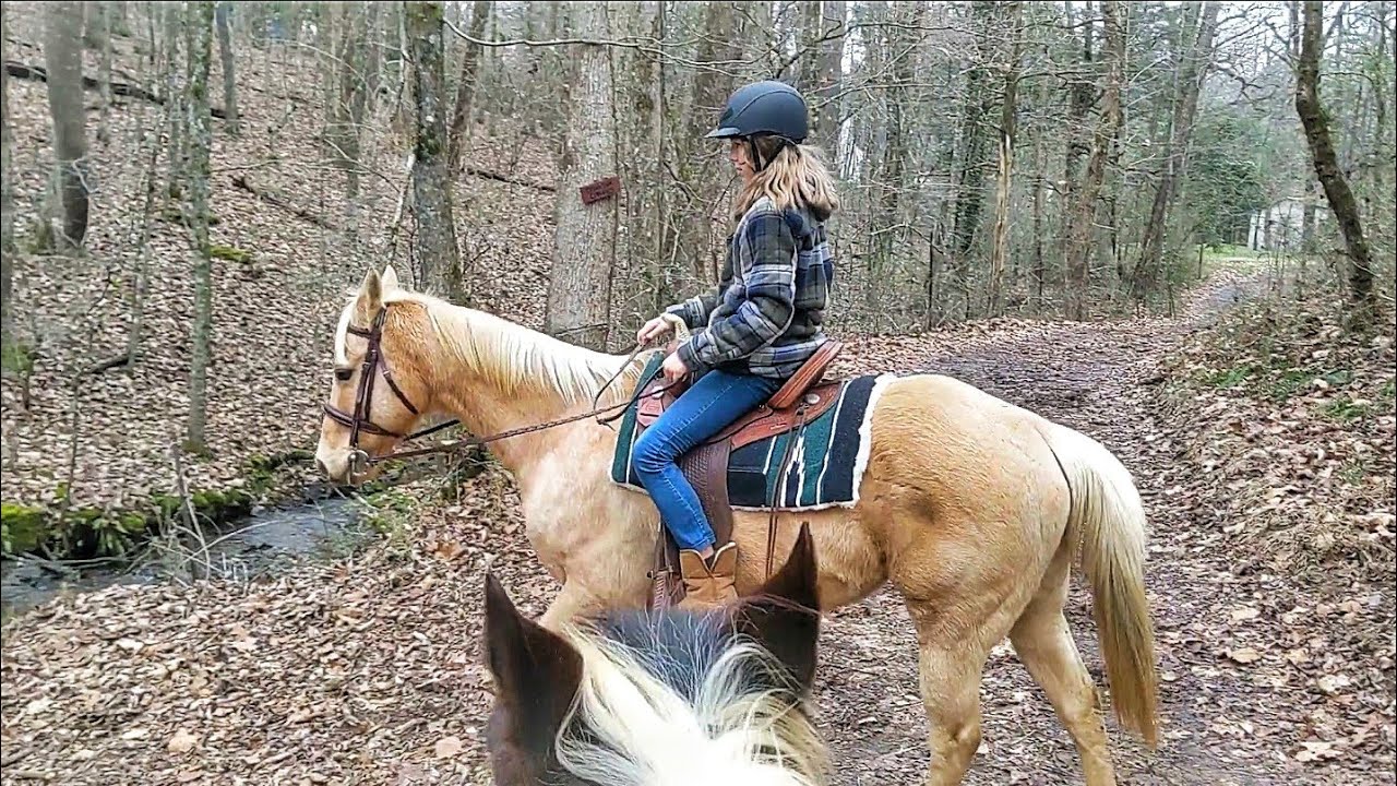 Groom, Tack Up and Ride my HORSE with Me!! | Trail Rides |