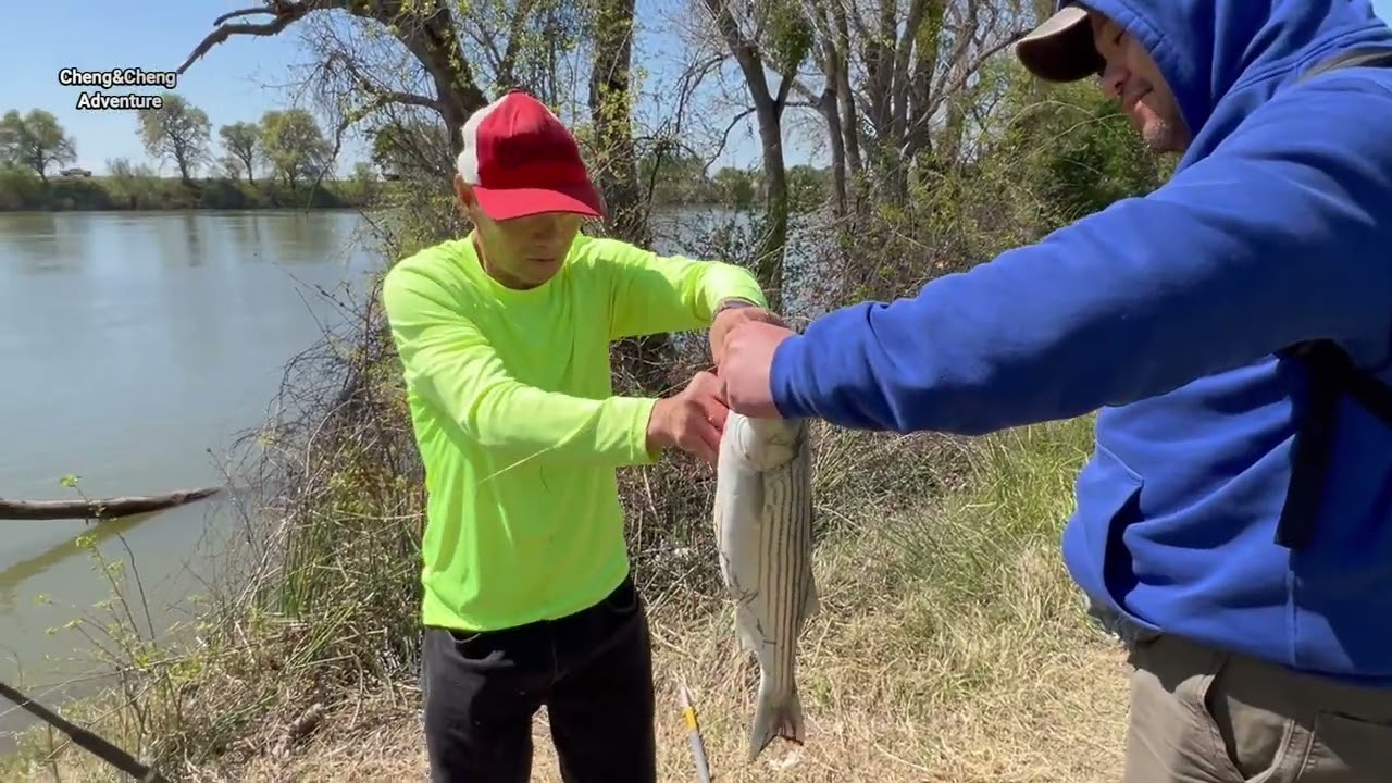 2 Days Fishing for Black Bass and Stripers Bass @ Folsom Lake & Sacramento River