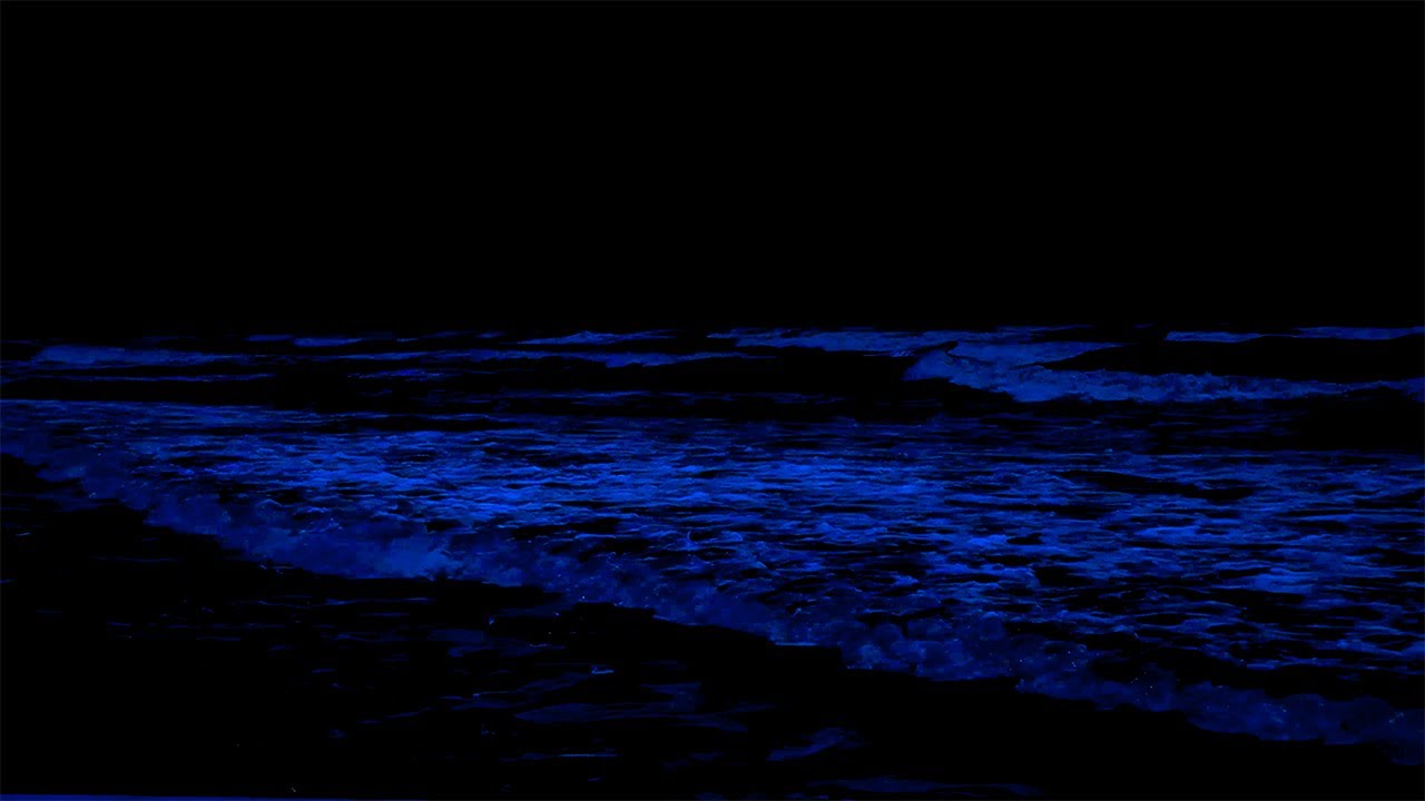 99% Relief Stress and Instantly Fall Asleep with Powerful Ocean Wave Sounds at Night
